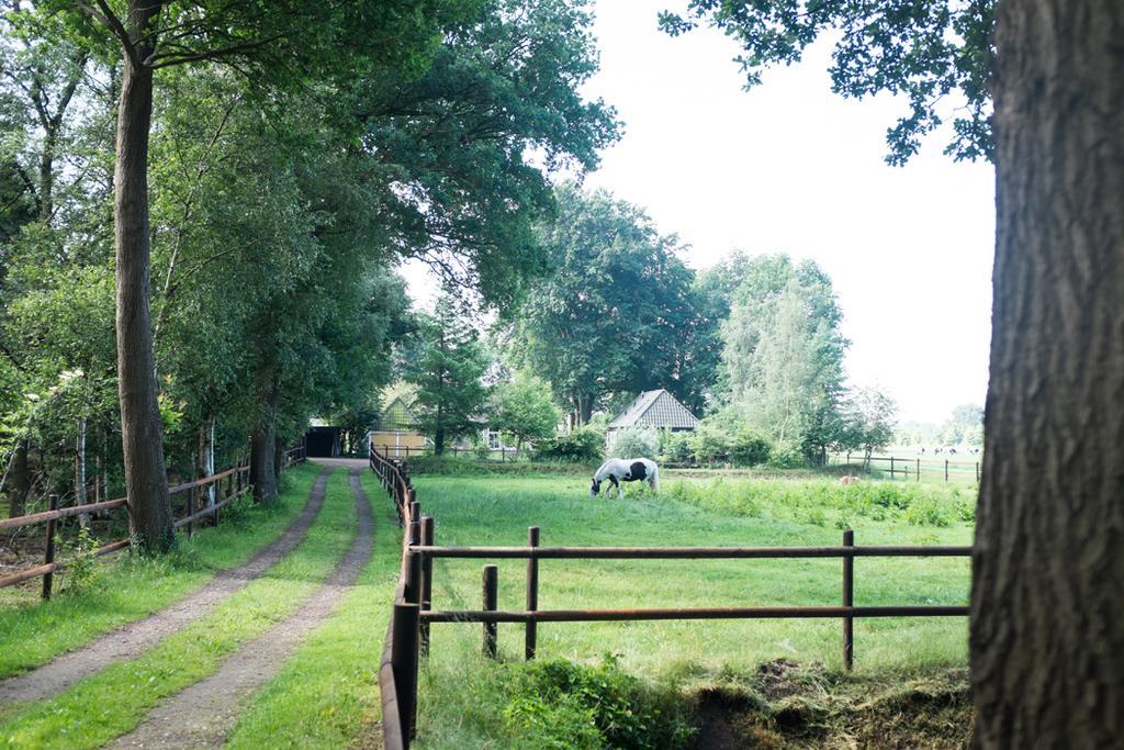 Hébergement de vacances Het Muzehuis *